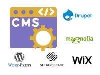CMS Integration (WordPress, Webflow, etc.)